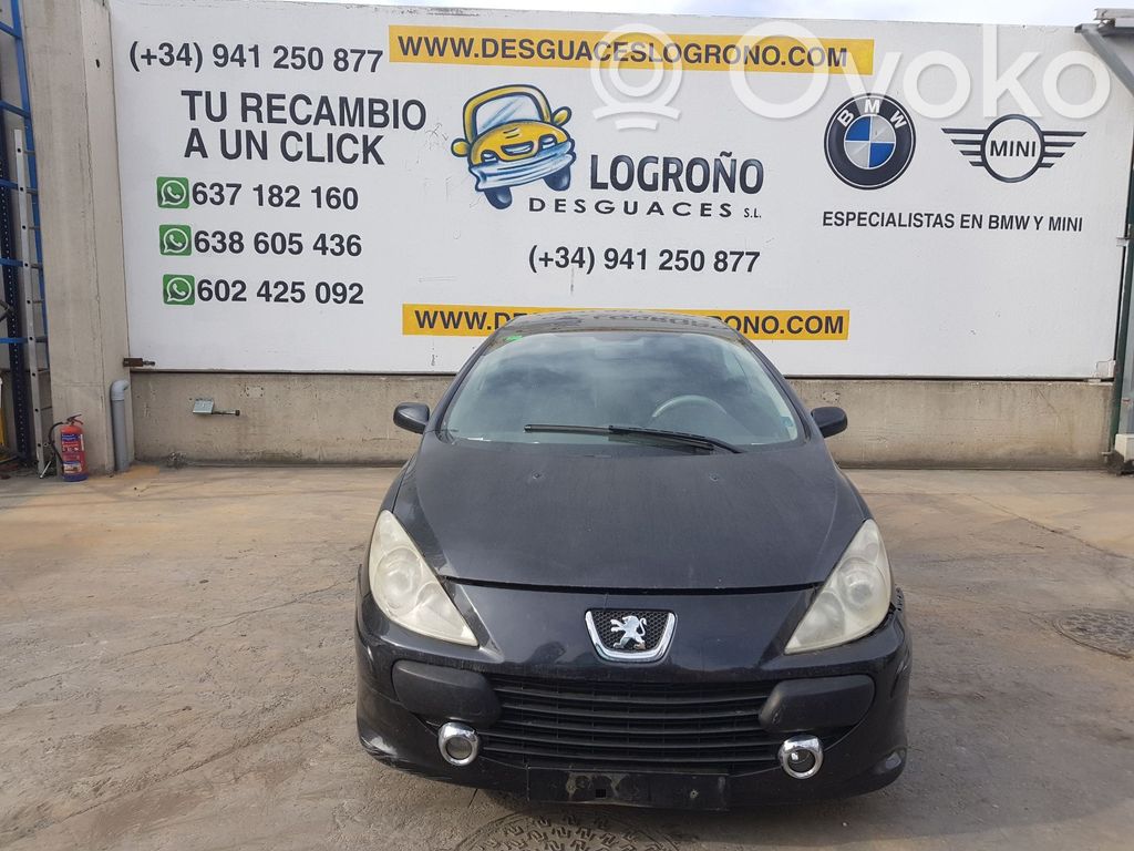 307 CC 307  1613319580