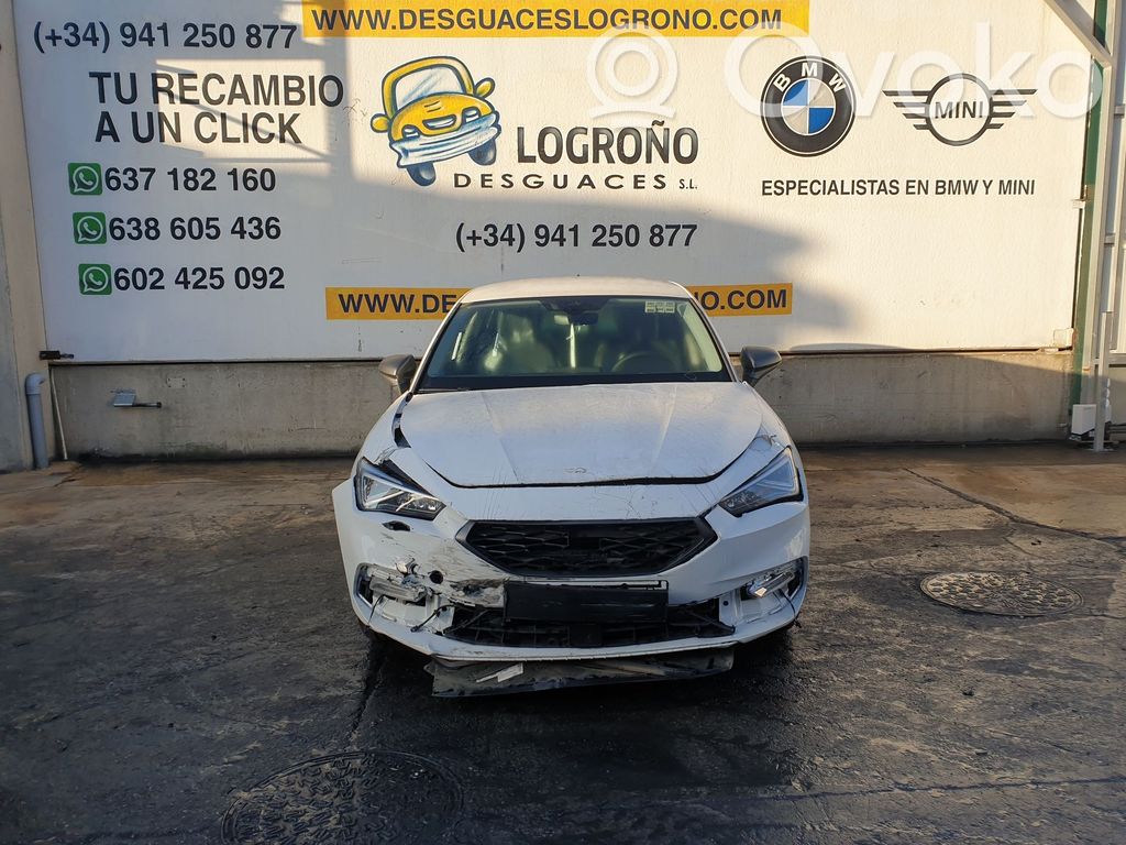 Leon Leon  5FA807889B