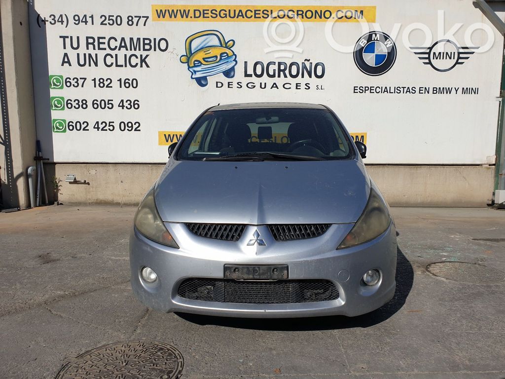Grandis Grandis  MN141066