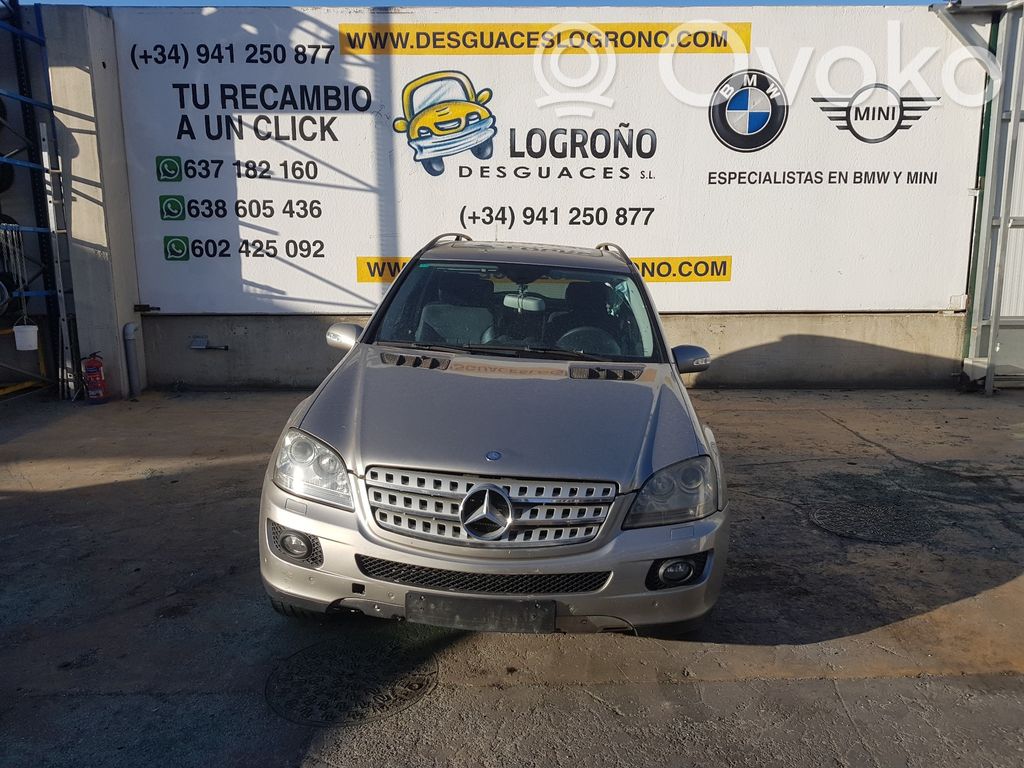 ML W164 ML-class, AMG (W163, W164, W166)  A1648200485