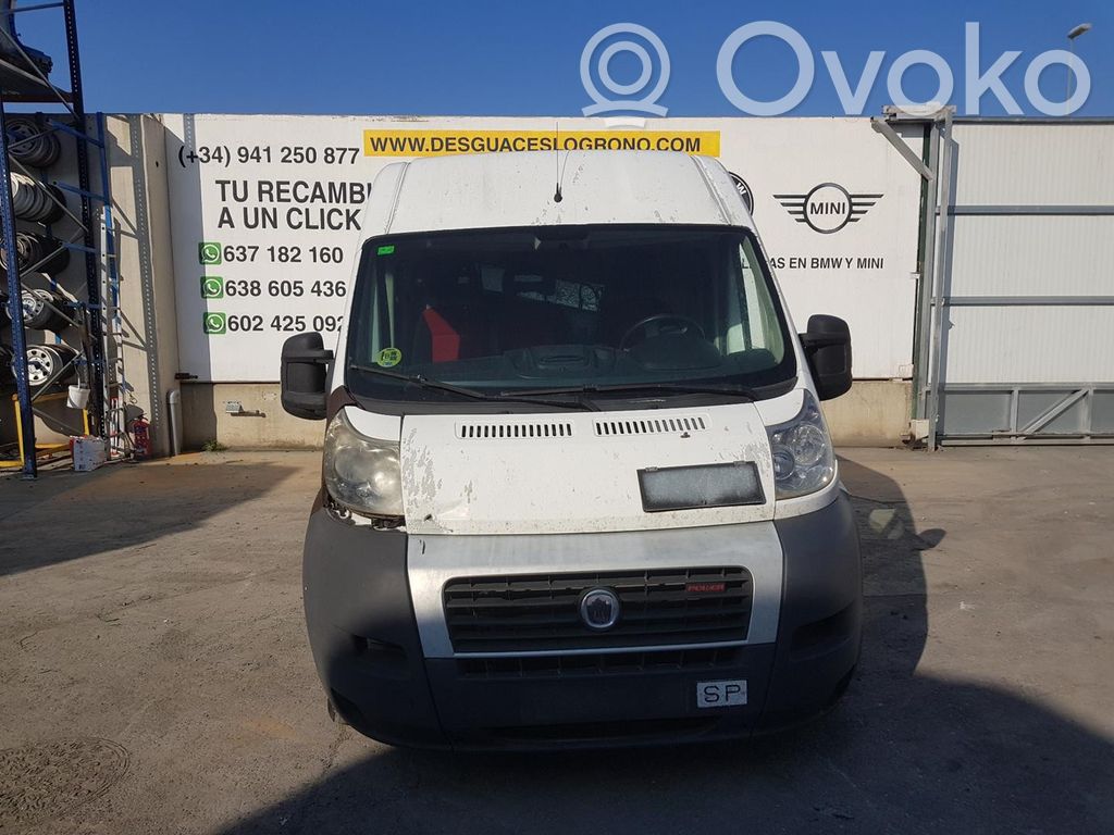 Ducato Ducato  1369962080