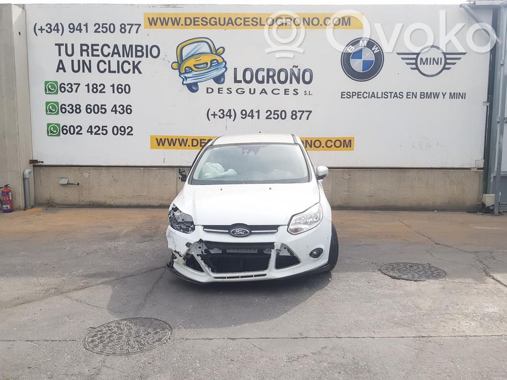 Focus Focus  1870371