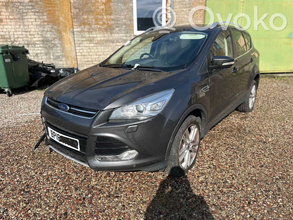 Kuga II Kuga