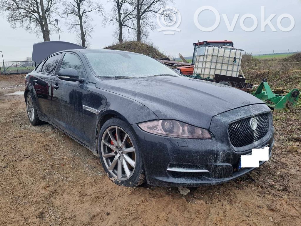 XJL XJL