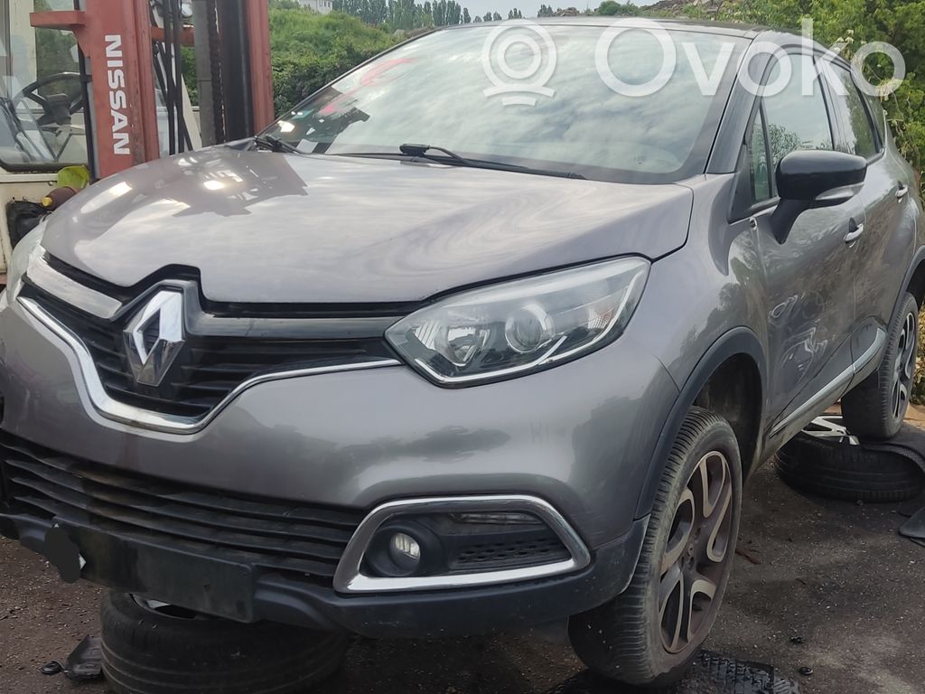 Captur Captur  214818009R
