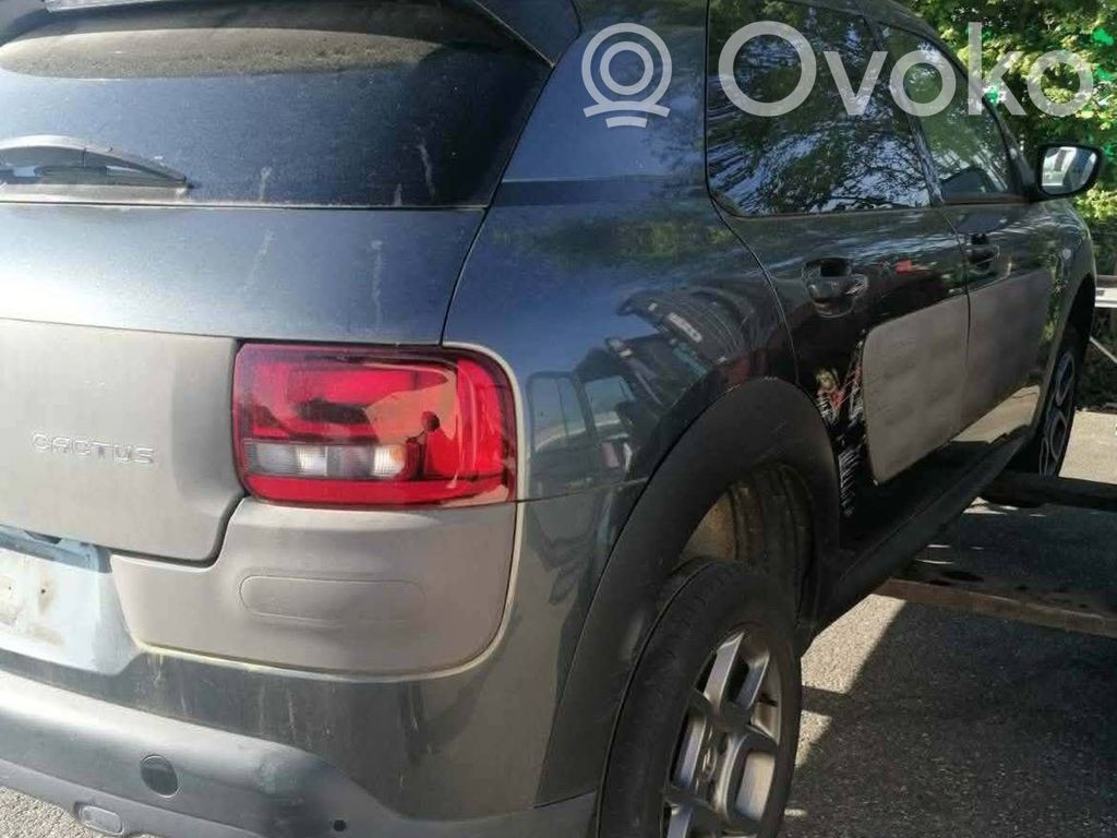 C4 Cactus C4 Picasso, Grand Picasso, Aircross, Cactus