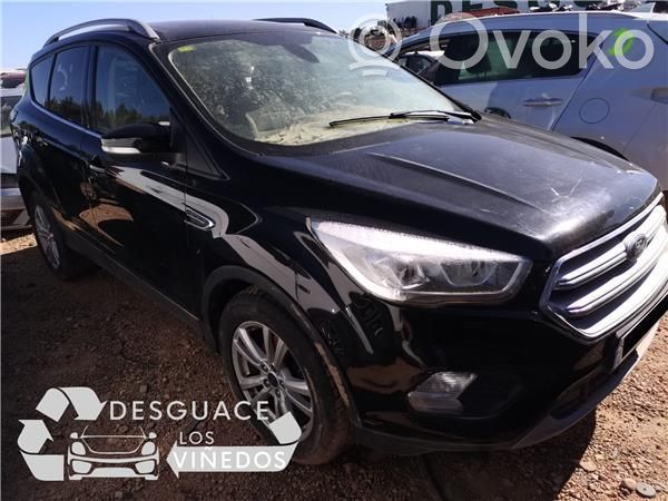 Kuga II Kuga  EJ738005AH