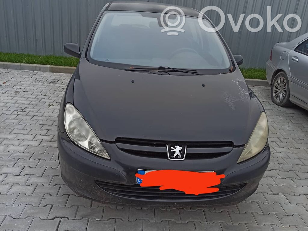 307 307  9638958780