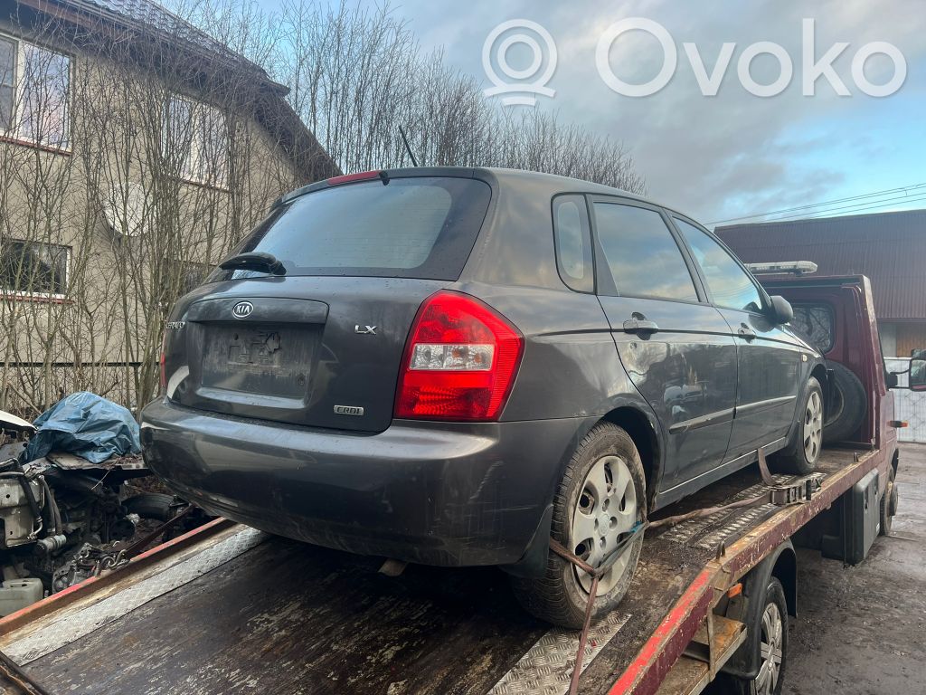 Cerato Cerato  3910927060