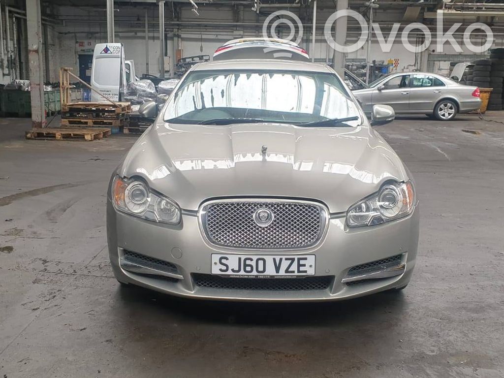 XF XF  71545926