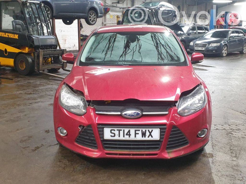 Focus Focus  BM51515B0AE