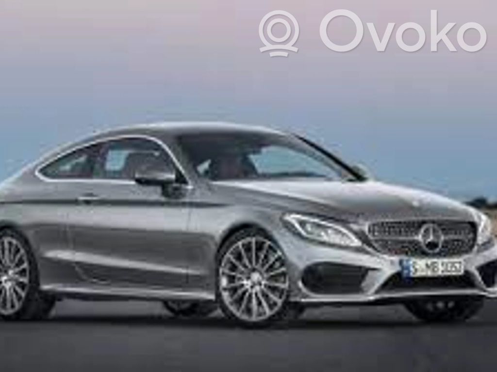 C W205 C-class, AMG (W202, W203, W204, W205, W206)  A2055452380