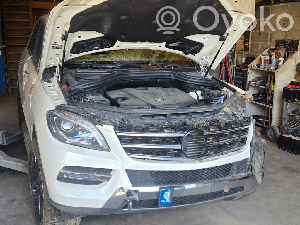 ML W166 ML-class, AMG (W163, W164, W166)  A1669006902
