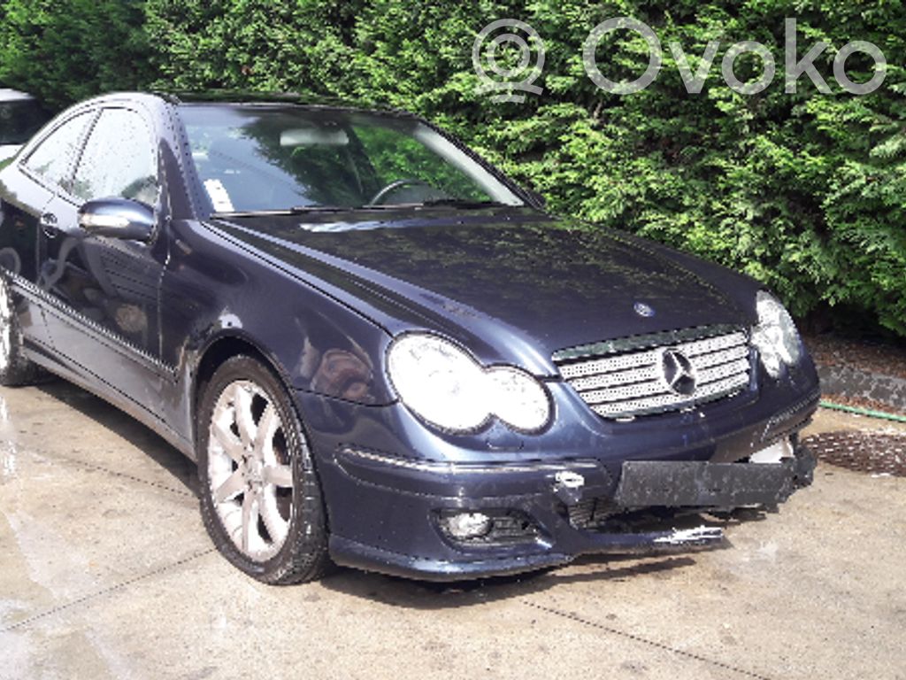 C W203 C-class, AMG (W202, W203, W204, W205, W206)