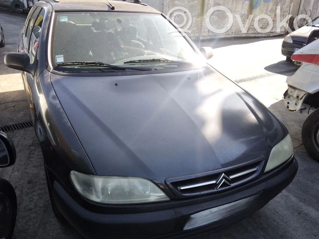 Xsara Xsara, Xsara Picasso