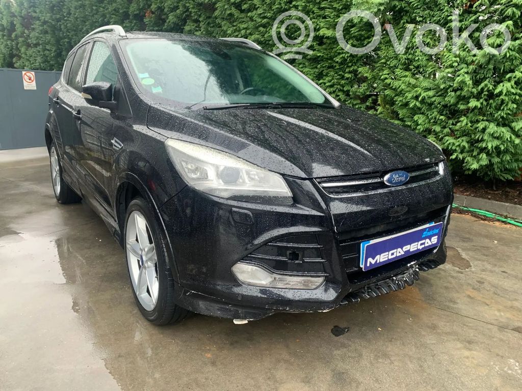 Kuga II Kuga