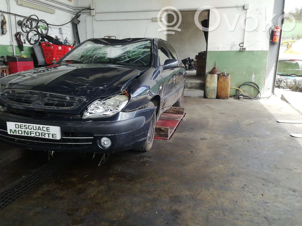 Xsara Xsara, Xsara Picasso
