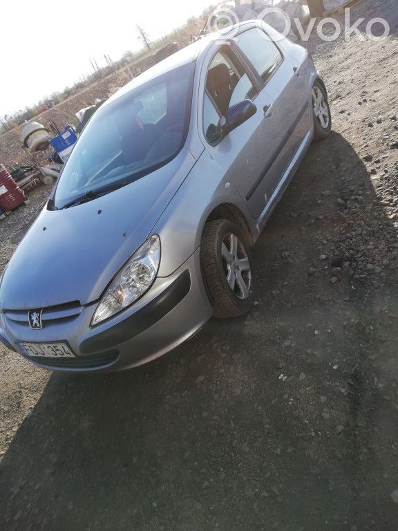 307 307  9636635380