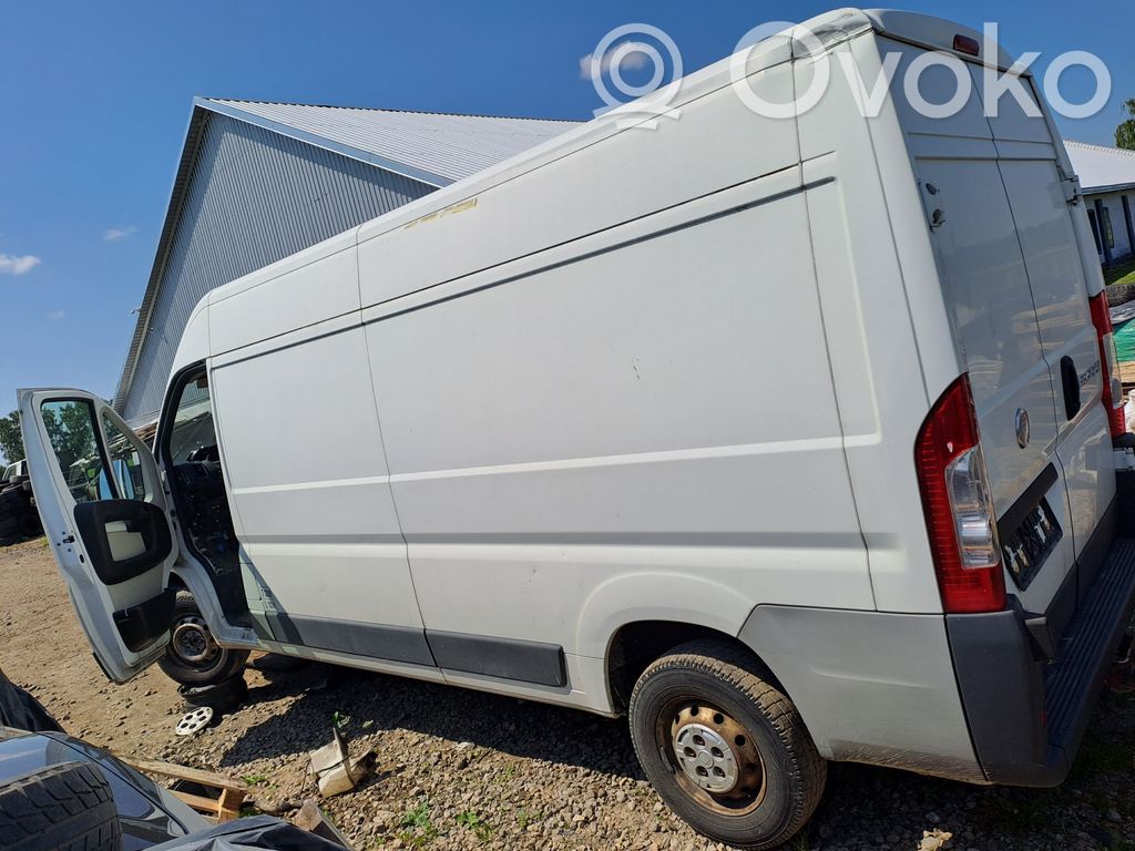 Ducato Ducato  1363378080