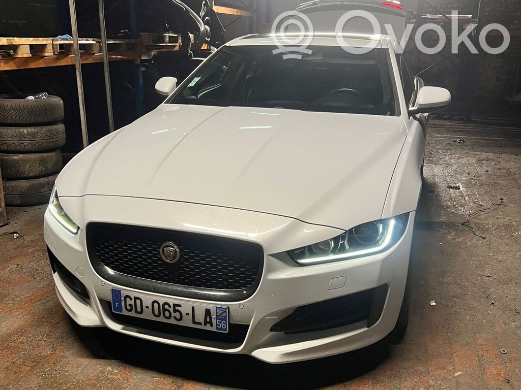 XE XE  GX735C145AF