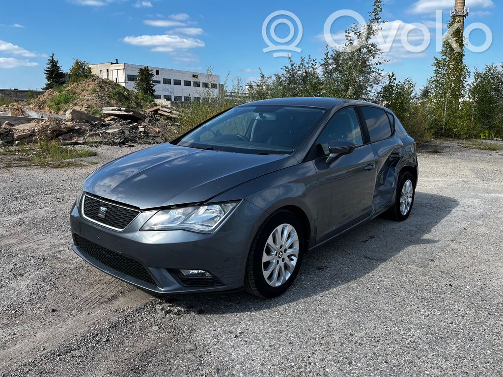 Leon (5F) Leon  5F0807049