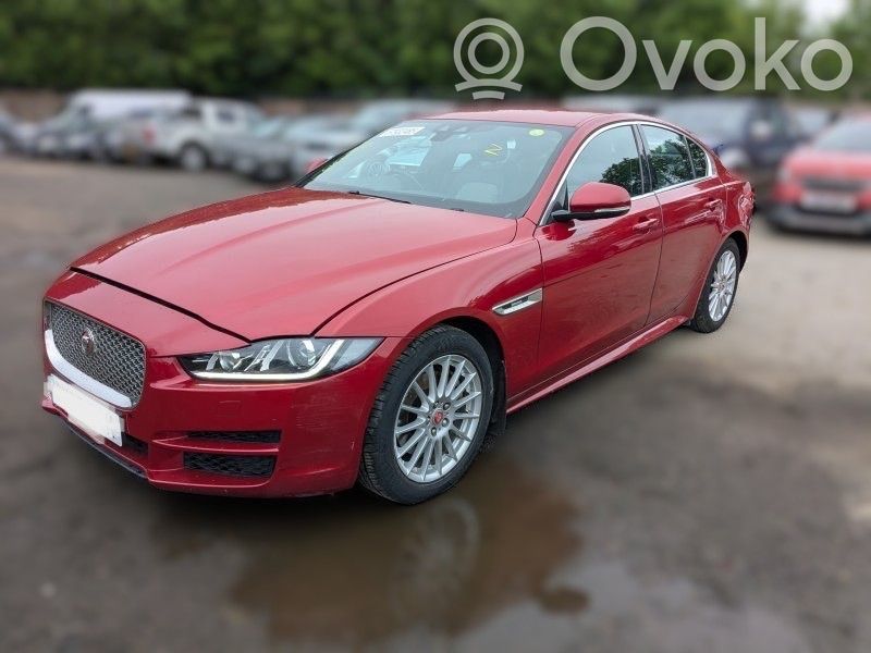 XE XE  W537