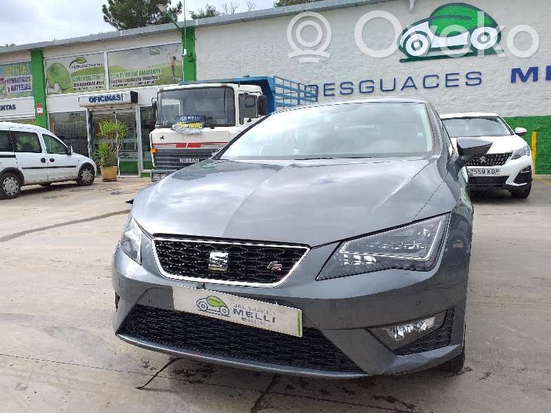 Leon (5F) Leon  5F3880741