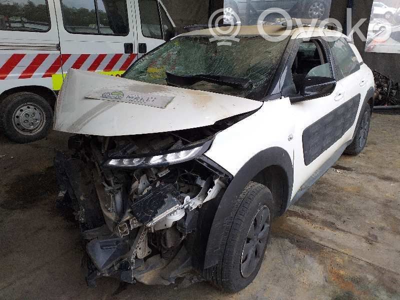 C4 Cactus C4 Picasso, Grand Picasso, Aircross, Cactus  98012885VV