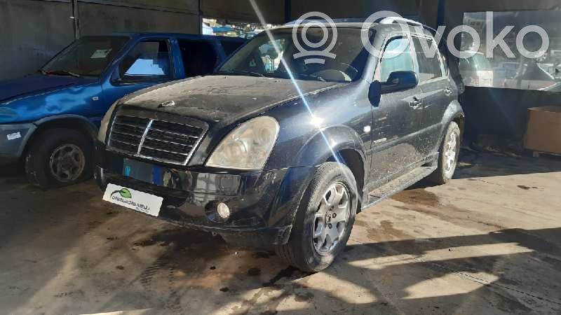 Rexton Rexton  060405