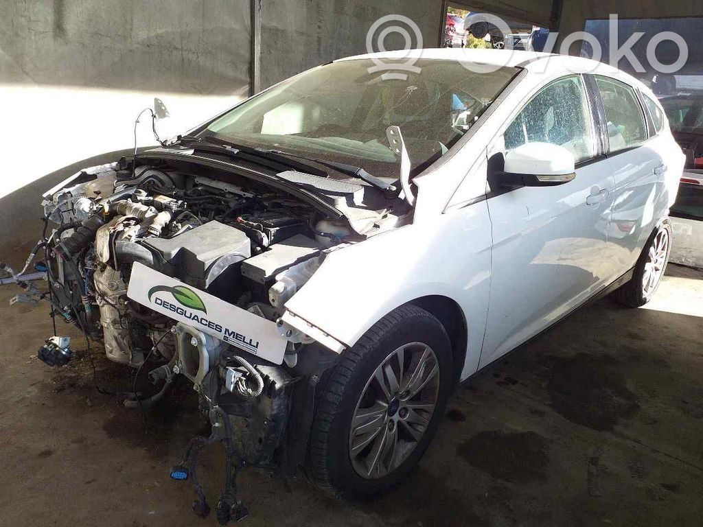 Focus Focus  1769420