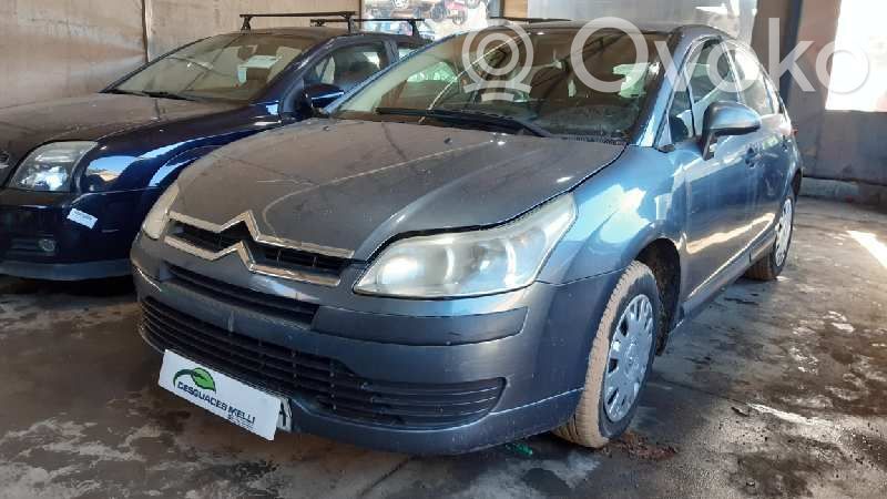 C4 I C4 Picasso, Grand Picasso, Aircross, Cactus  1643188580