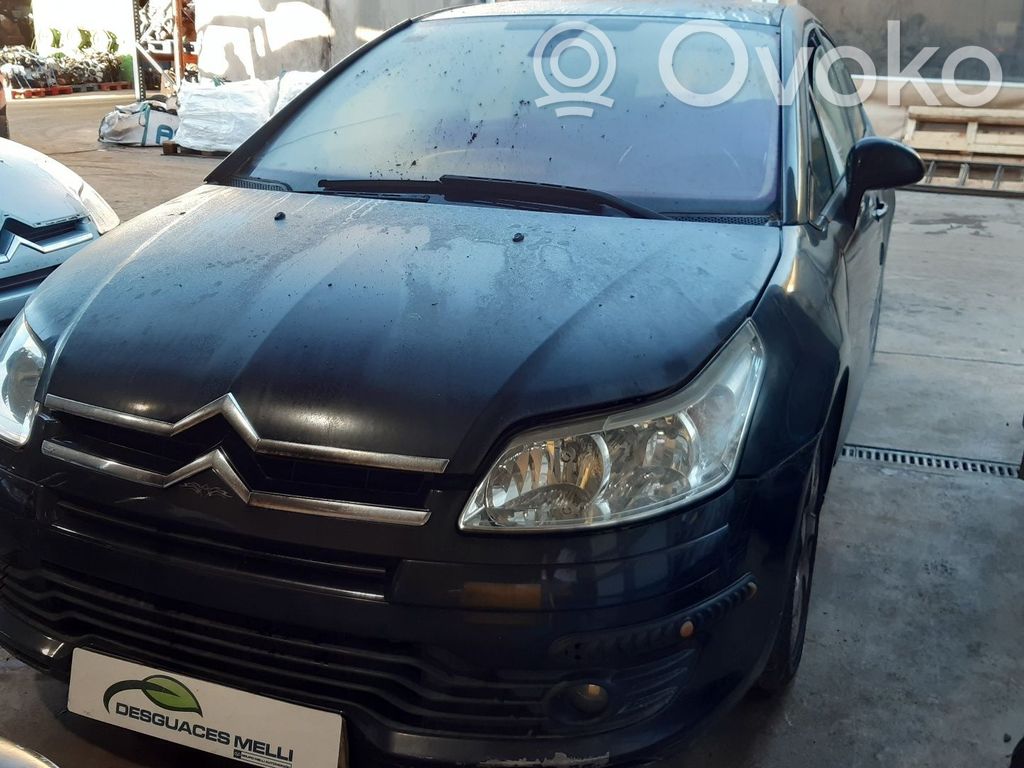 C4 I C4 Picasso, Grand Picasso, Aircross, Cactus  1617934080