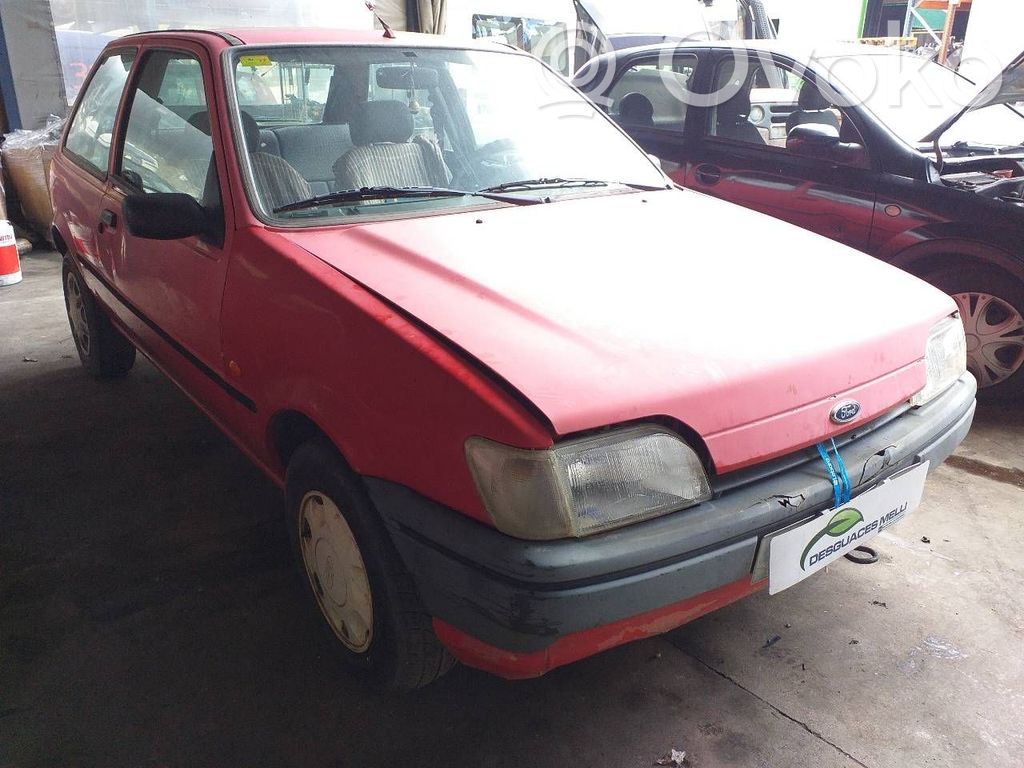 Fiesta Fiesta  7070865