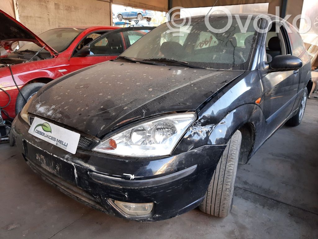 Focus Focus  1091364
