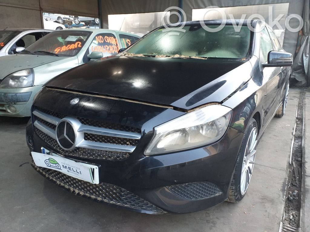 A W176 A-class  0281006066