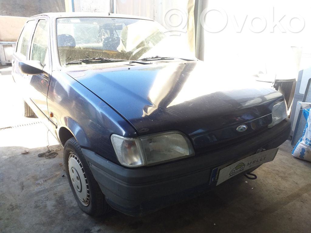 Fiesta Fiesta  7070864