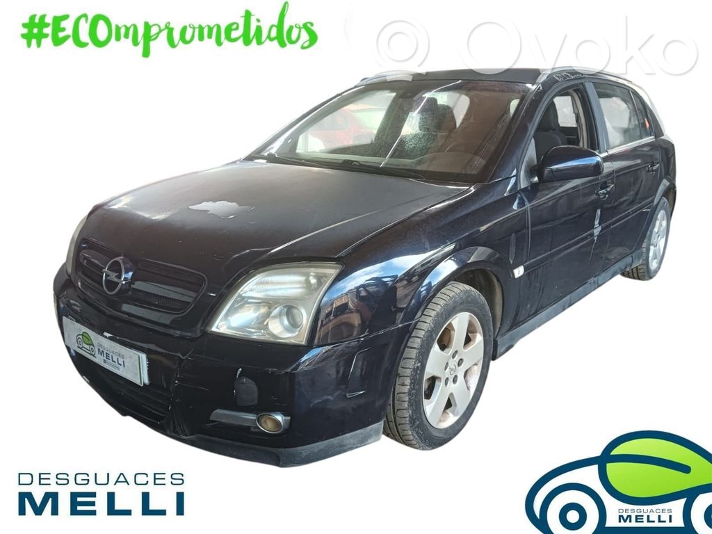 Signum Signum  24467838