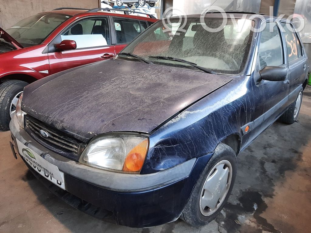 Fiesta Fiesta  95BF9B969