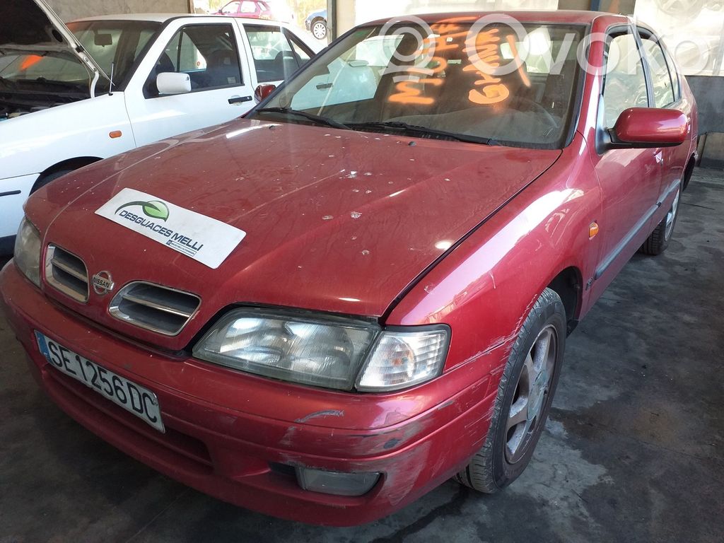 Primera Primera  9000825