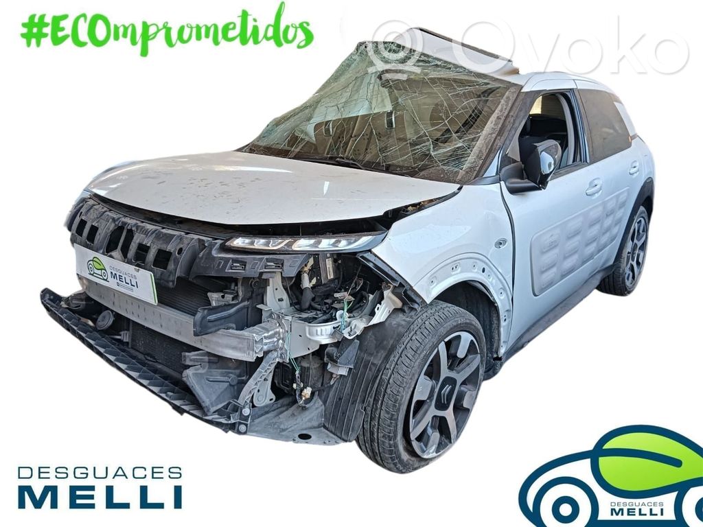 C4 Cactus C4 Picasso, Grand Picasso, Aircross, Cactus  9808161780