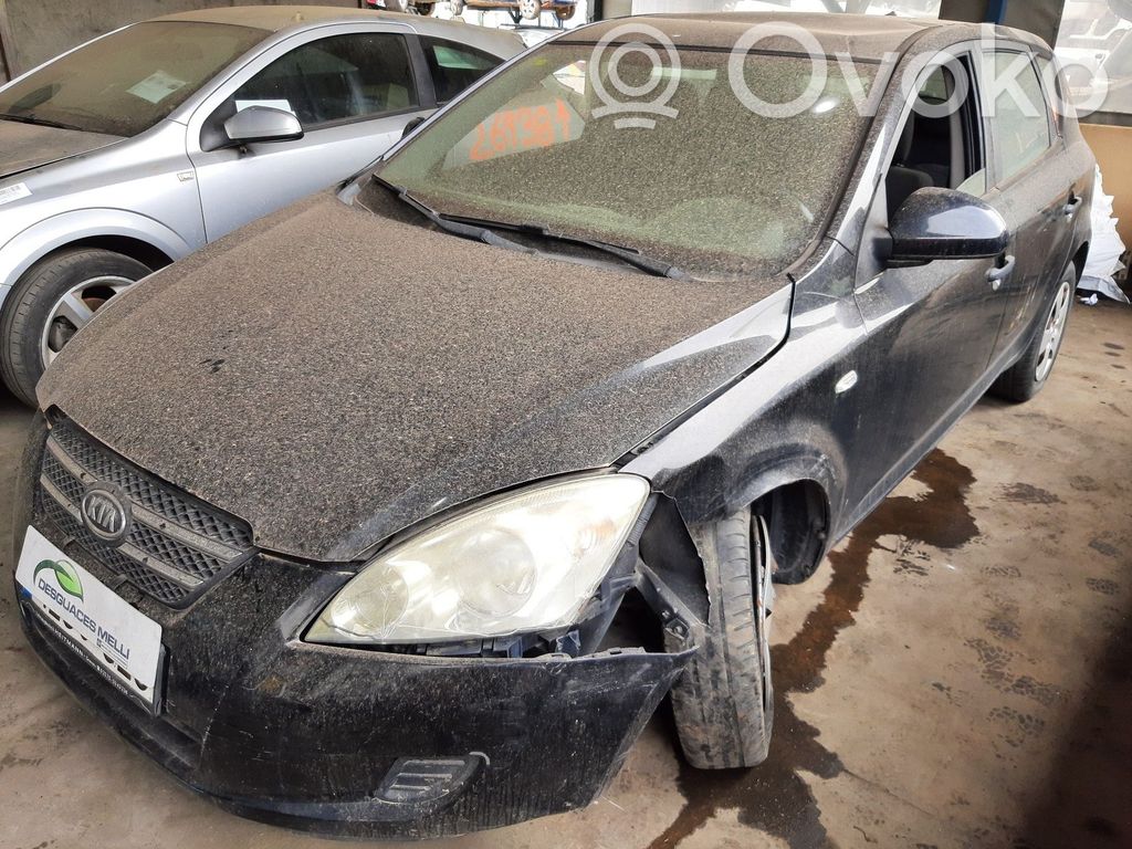 Ceed Ceed, Ceed SW, Pro Ceed  876201H100CA