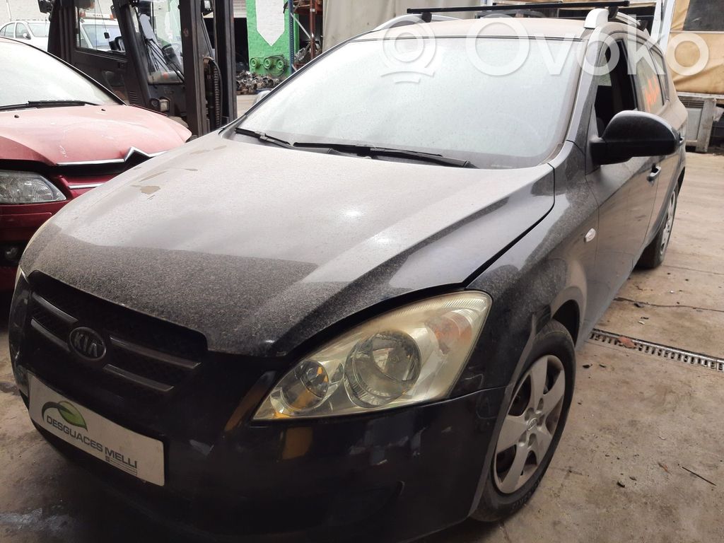 Ceed Ceed, Ceed SW, Pro Ceed  391032A765
