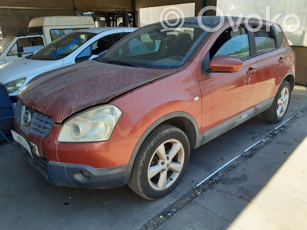 Qashqai Qashqai, Qashqai+2  H2101JD0MC