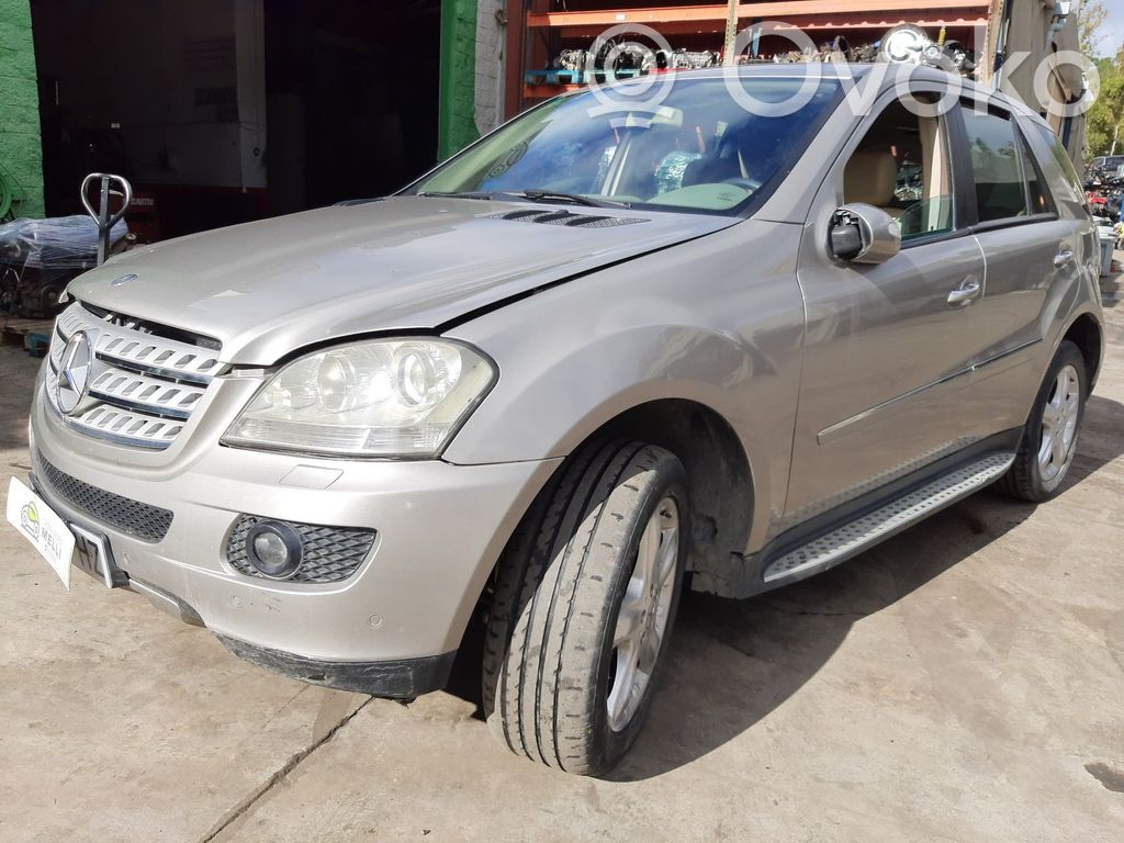 ML W164 ML-class, AMG (W163, W164, W166)  A1648203002