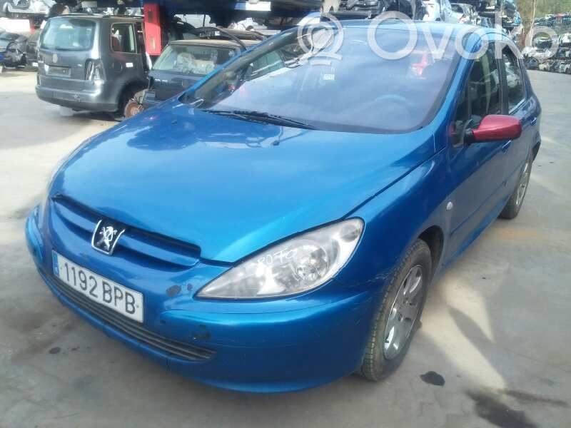 307 307  9639874380