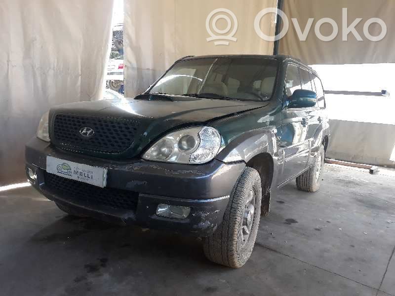 Terracan Terracan  028100255