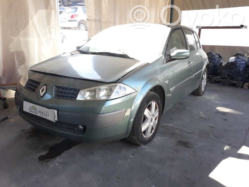 Megane II Megane  8200381849