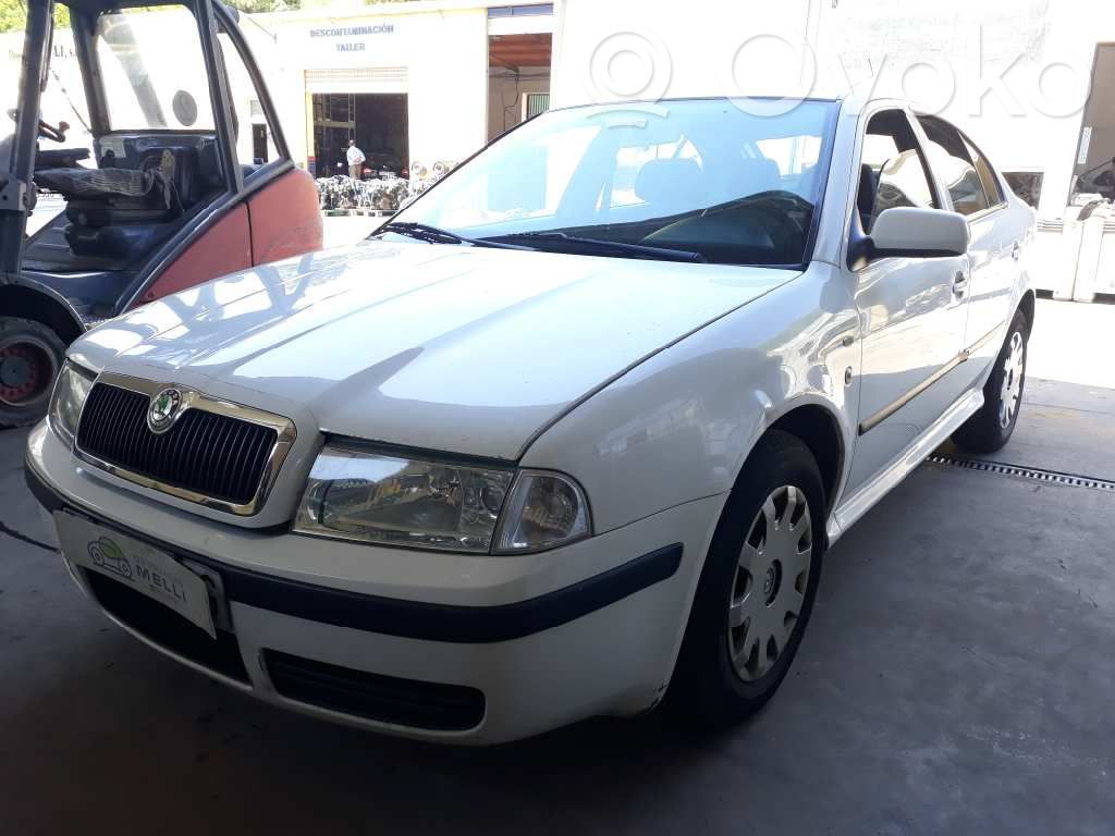 Octavia Mk2 (1Z) Octavia  028130202P