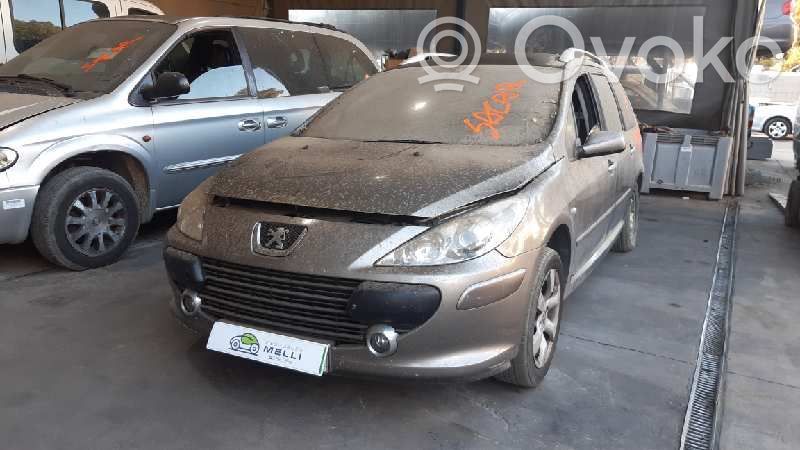 307 307  9641553880