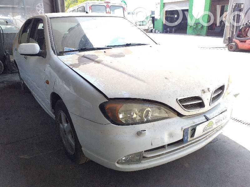 Primera Primera  64554